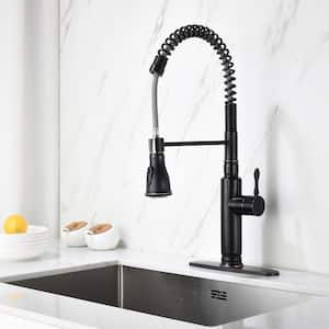 Achard Single-Handle Pull-Down Sprayer Kitchen Faucet with Dual Function Sprayhead in Oil Rubbed Bronze
