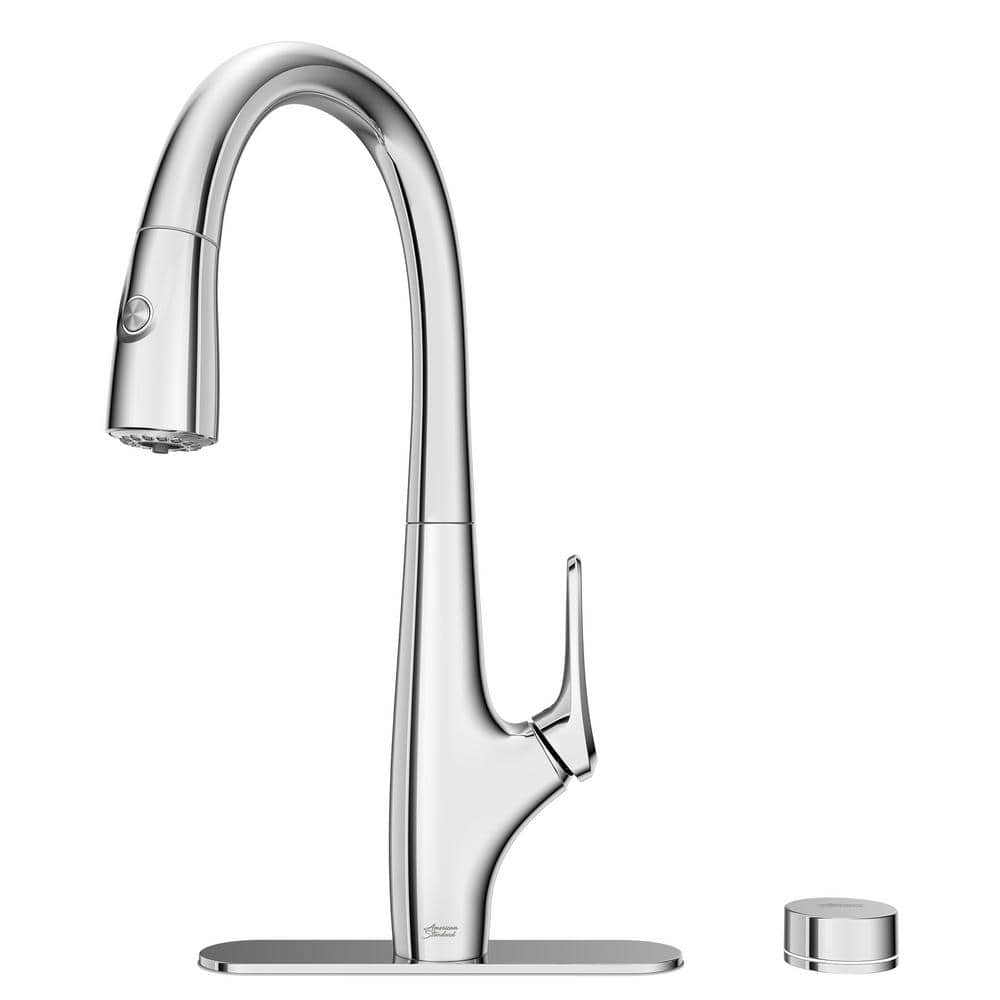 Saybrook Chrome Pull-Down Kitchen Faucet with Filter