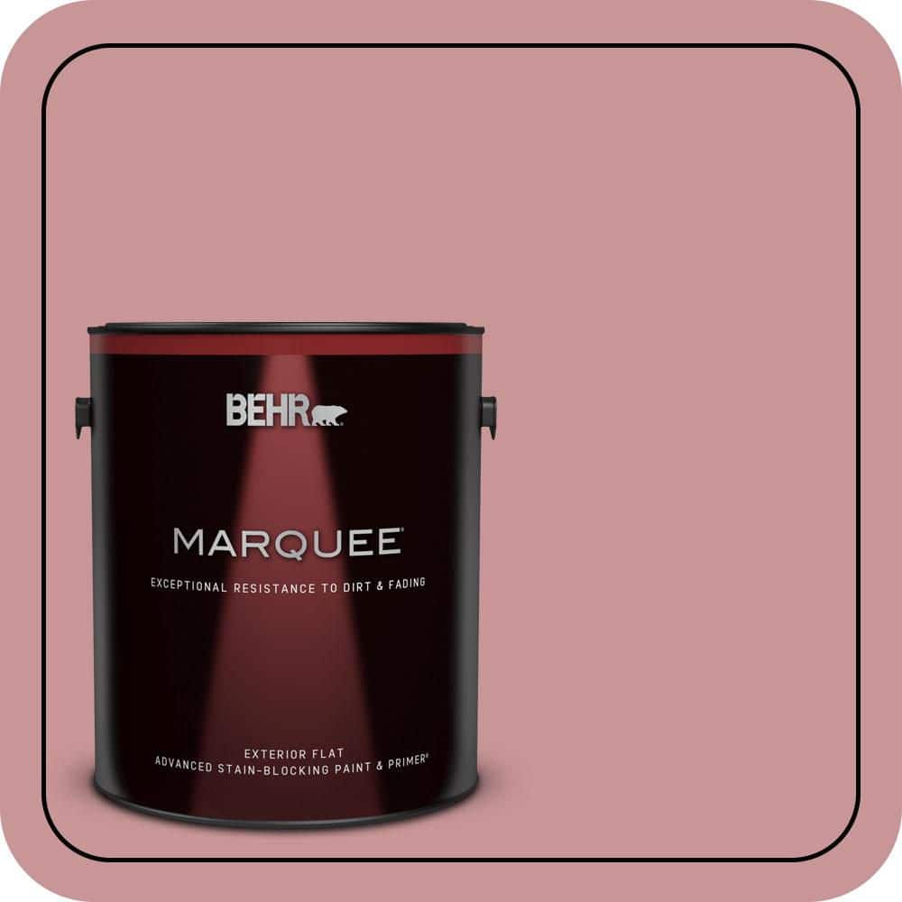 1 Gal. #S140-4A Dusty Rose Flat Exterior Paint and Primer price history on PriceWatchPro