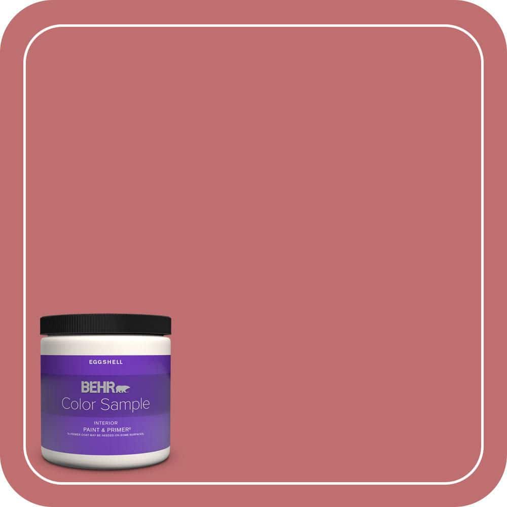 8 oz. Home Decorators Collection #HDC-SP14-8 Art House Pink Eggshell Enamel Interior Paint & Primer Color Sample price history on PriceWatchPro
