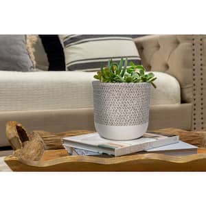 6 in. Reed Grey Cement Planter