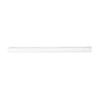 Dolomite White .75 in. x 12 in. Polished Marble Wall Pencil Tile (1 Linear Foot)