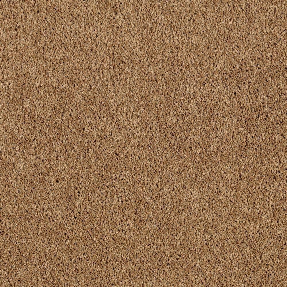 8 in. x 8 in. Texture Carpet Sample - Ambrosina I -Color Winter Leaf price history on PriceWatchPro