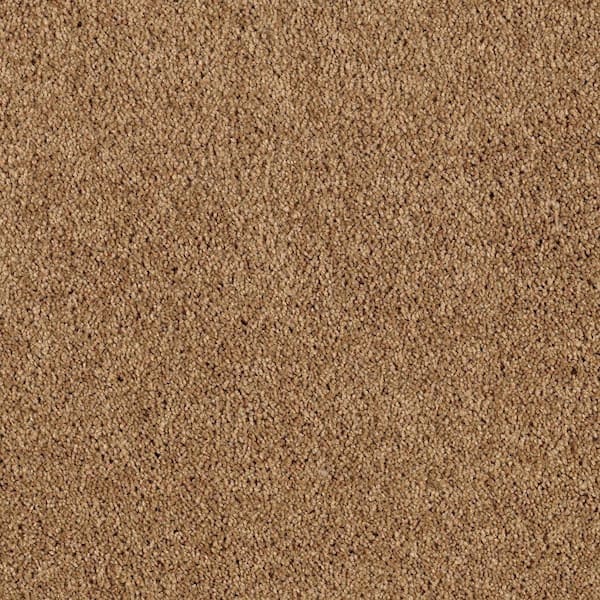 Lifeproof 8 in. x 8 in. Texture Carpet Sample - Ambrosina I -Color Winter Leaf