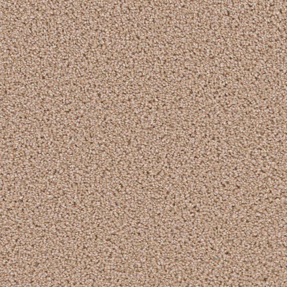 8 in. x  8 in. Texture Carpet Sample - Happy Chance -Color Merry price history on PriceWatchPro
