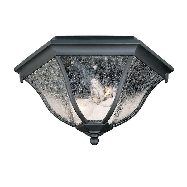 Acclaim Lighting Flushmount Collection Ceiling-Mount 2-Light Matte Black Outdoor Light Fixture