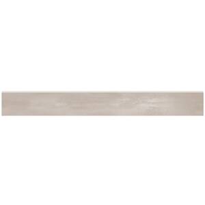 Ray Taupe 3 in. x 24 in. Concrete Look Porcelain Bullnose Tile Trim (20.00 ft./Case)