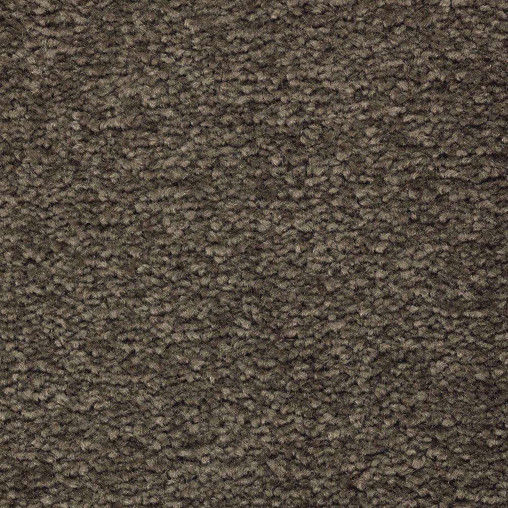 8 in. x 8 in. Texture Carpet Sample - Unblemished I -Color Mercury price history on PriceWatchPro