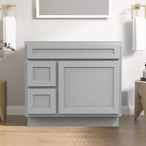 36 in. W x 21 in. D x 32.5 in. H 2-Left Drawers Bath Vanity Cabinet Only in Gray
