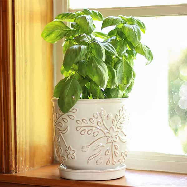 Southern Patio Venice 4 qt. White Ceramic Round Planter (L x 8.1