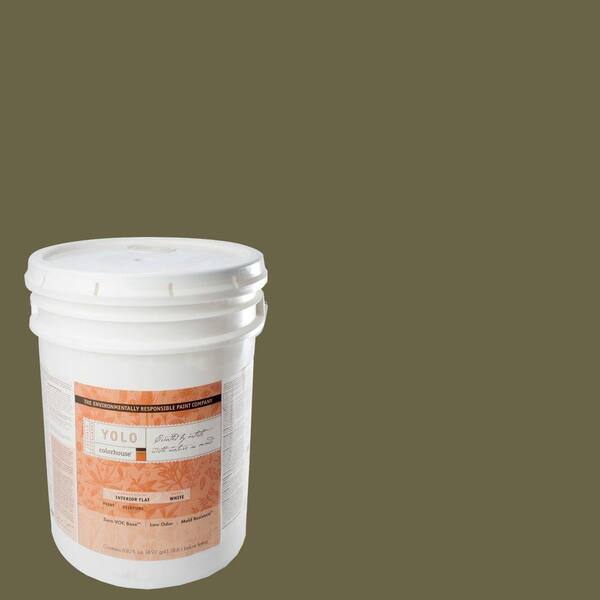 YOLO Colorhouse 5-gal. Glass .06 Flat Interior Paint-DISCONTINUED