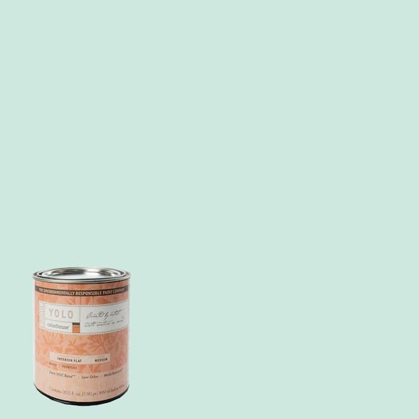 YOLO Colorhouse 1-Qt. Water .01 Flat Interior Paint-DISCONTINUED