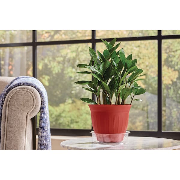 6 in. Medium-Duty Plastic Planter Saucer