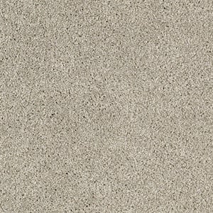 Lifeproof Gorrono Ranch Ii Color Victorian Texture 12 Ft Carpet 0544d 28 12 The Home Depot