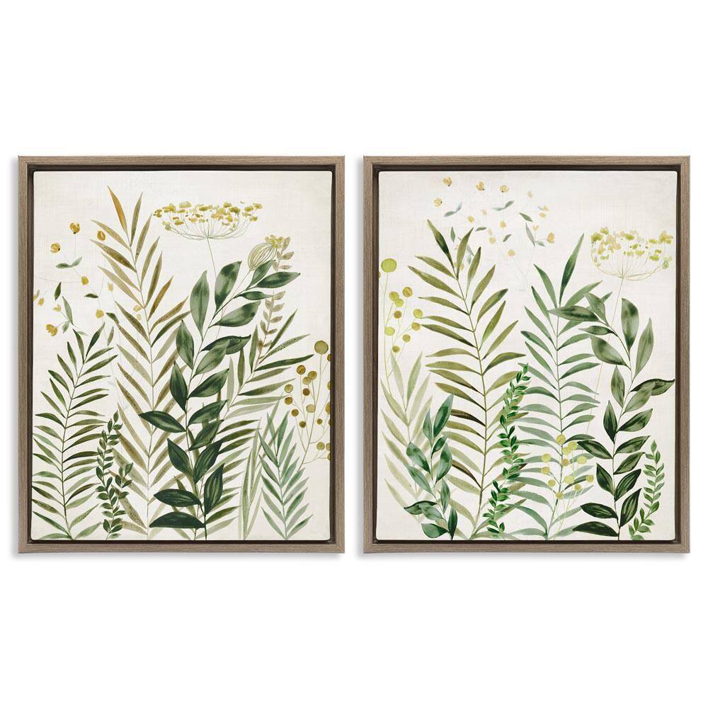 Varied Leaves and Fronds by Hannah Dawson 2-Pieces Brown Floater Frame Nature Graphic Art Print 21 in. x 17 in. price history on PriceWatchPro