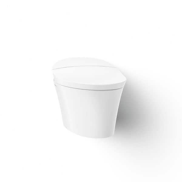 Veil 1-Piece 0.8 or 1.6 GPF Dual Flush Elongated Wall-Hung Toilet in White, Components Included
