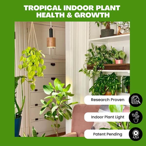 NorbTROPIC 9W Equivalent A19 4200K Forest-Filtered Green Tropical Plant Grow Light Bulb (1-Pack)