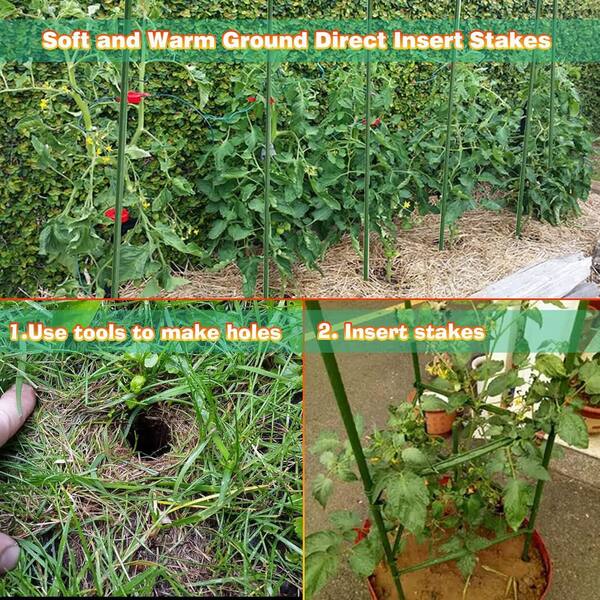 SenQWFa 58 in. Green Steel Plant Garden Tomato Stakes with Plastic