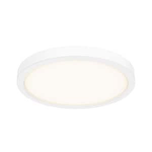 10 in. Round Indoor/Outdoor LED Flush Mount