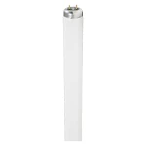 20-Watt 2 ft. Linear T12 Tube Fluorescent Light Bulb Warm White