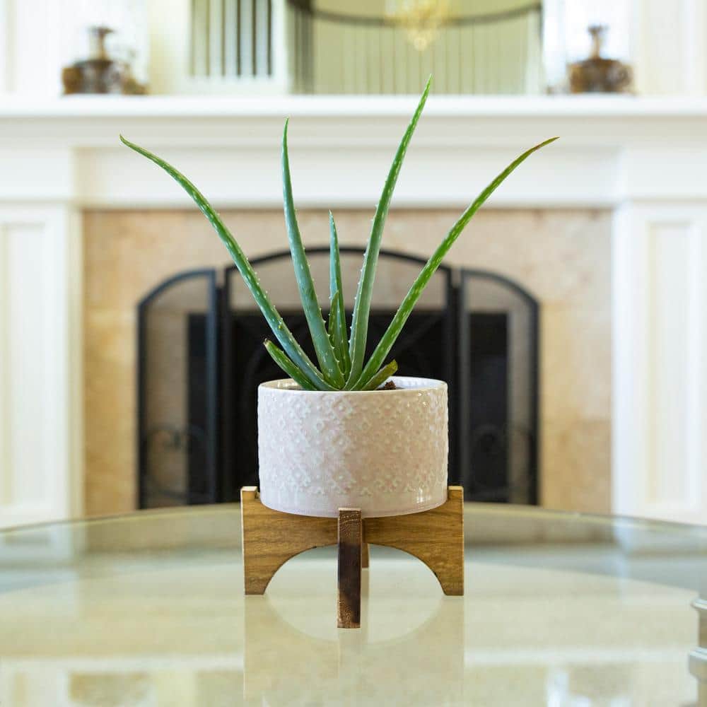 Pink Ceramic Round Planter with Wood Stand, 6.25"