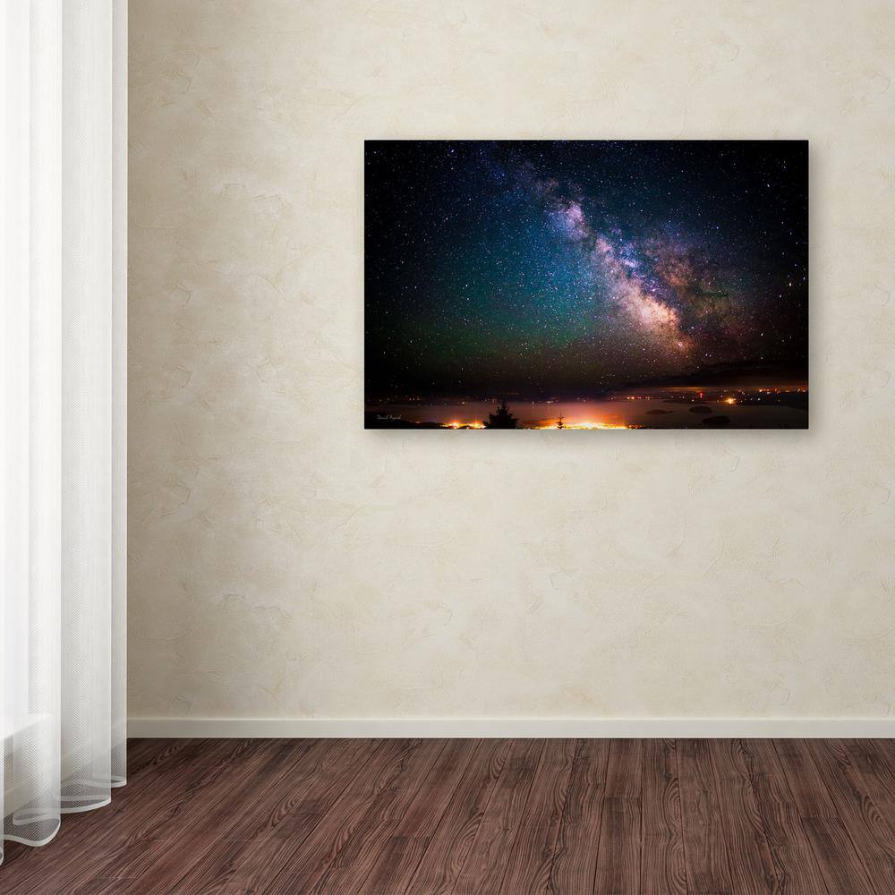 Milky Way Over Acadia National Park Framed Canvas Art
