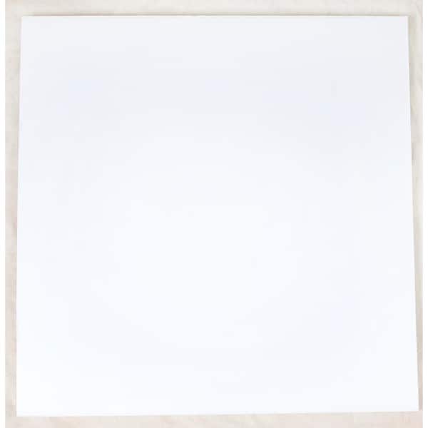 2 ft. x 2 ft. Lay-in Ceiling Panel (4 sq. ft. / case)