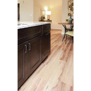 Brookings Plywood Ready to Assemble Shaker 21x34.5x24 in. 1-Door 1-Drawer Base Kitchen Cabinet in Espresso