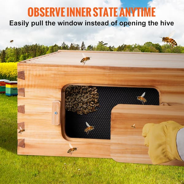 VEVOR Bee Hive 10-Frame Complete Beehive Kit 100% Beeswax Natural