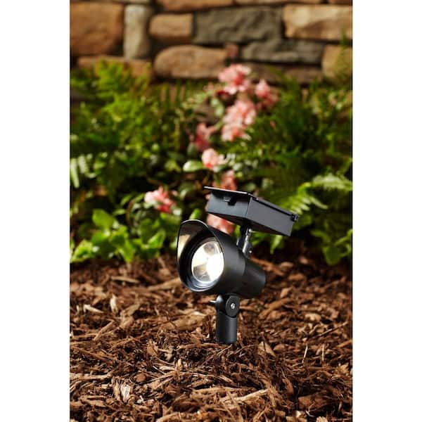 Solar Black Outdoor Integrated LED 3000K 30-Lumens Landscape Spot Light