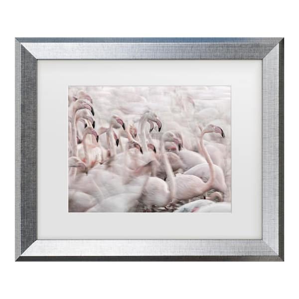 Trademark Fine Art Martine Benezech in the Pink Transhumance Matted Framed Photography Wall Art 19.5 in. x 23.5 in.