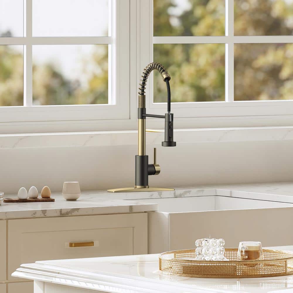 Black and Gold Stainless Steel High-Arc Kitchen Faucet with Pull-Out Spray