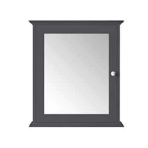 Sonoma 24 in. W x 8 in. D x 27 in. H Rectangular Surface Mount Dark Charcoal Medicine Cabinet with Mirror