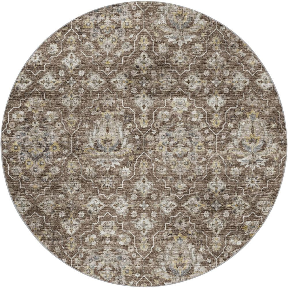 Dream Shag Premium Machine Washable Abstract ADS94 Driftwood 8 ft. x 8 ft. Round Rug price history on PriceWatchPro