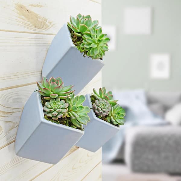 Cube 3-1/2 in. x 4 in. Sky Ceramic Wall Planter (3-Piece)