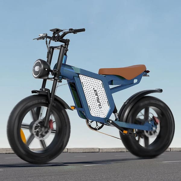 Zeus & Ruta 20 in. 750-Watt Folding Electric Bike Fat Tire 48-Volt 16 Ah Lithium Removable Battery for Adults