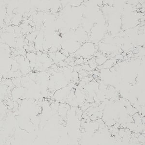 Quartz Countertop Sample in White Attica