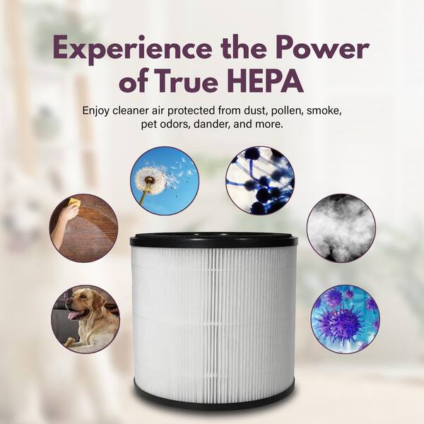 Fette Filter 2-Pack True HEPA Replacement Filters – Compatible With Medify Air MA-14