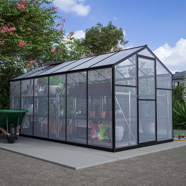 12 ft. W x 6 ft. D x 6 ft. H Deep Walk-In Garden Green House Aluminum Frame Black Walk-In Large Winter Greenhouse