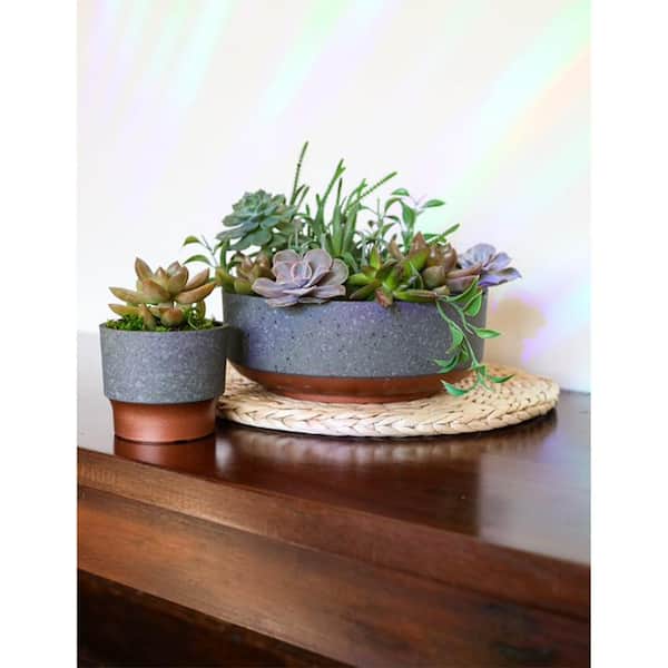 6 Inch Succulent Planter, Copper Tone Metal Plant Pot with