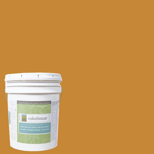 Colorhouse 5 gal. Wood .01 Eggshell Interior Paint