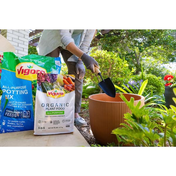 Amazon.com : Surfin' Spores Dry Mushroom Substrate Mix