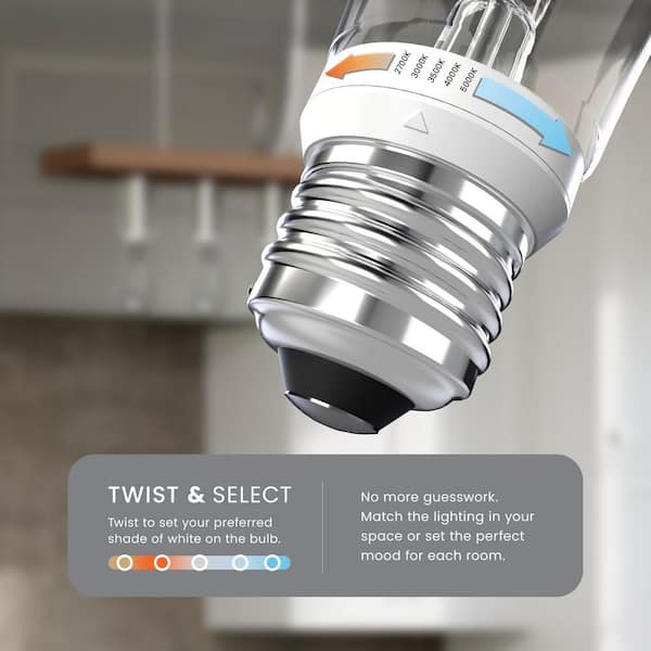 40-Watt Equivalent ST19 Dimmable White Filament E26 Opal Straight Tapered Twist Select LED Light Bulb 5CCT (2-Pack)