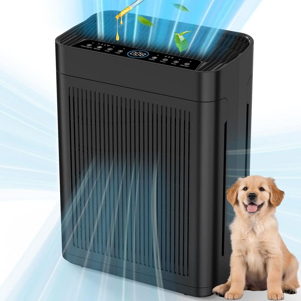 black-edendirect-home-air-