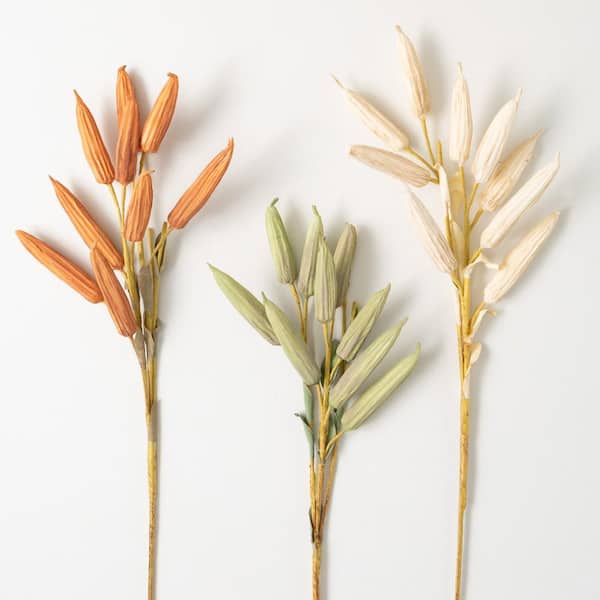 SULLIVANS 28 in. H Fall Dried Okra Stem Trio; Multicolored