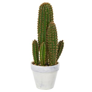 1.5 ft. Cactus Succulent Artificial Plant