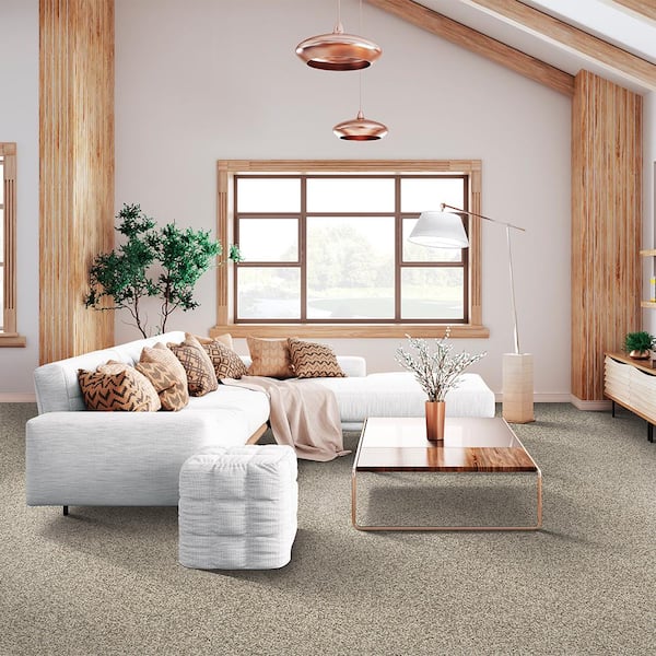 Golden Latte Kit – abc carpet & home
