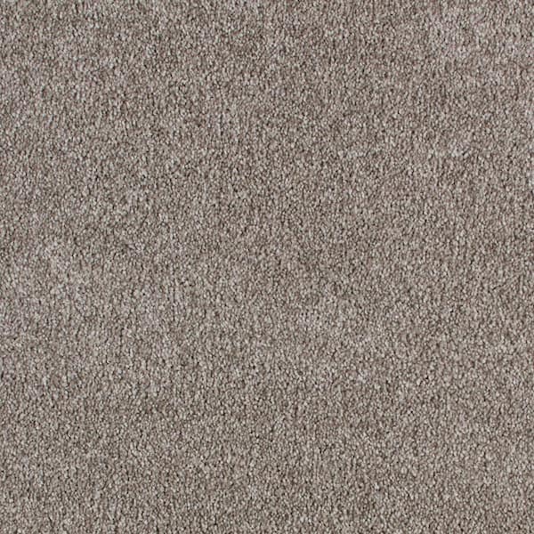 Lifeproof with Petproof Technology 8 in. x 8 in. Texture Carpet Sample - Cleoford -Color Cliff Mountain