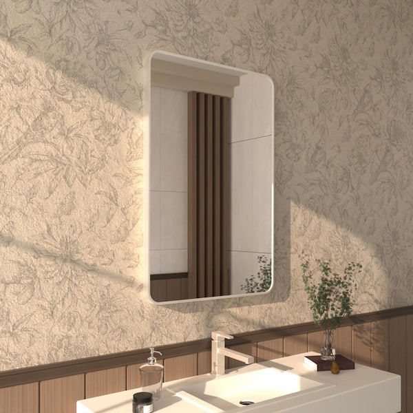 Zyphi 24 in. W x 36 in. H Rectangular Framed Wall Bathroom Vanity Mirror in Brushed Nickel