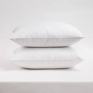 Classic Series Standard/Queen Firm Fill Pillow 2 Pack — Beach Camera